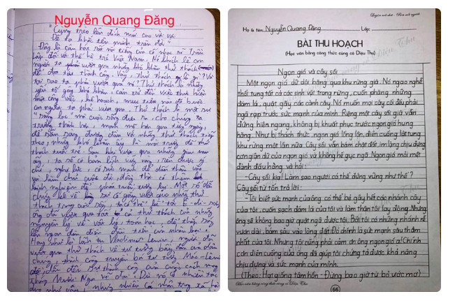 Học sinh Nguyễn Đăng Quang - K04 lớp luyện chữ tốc ký online